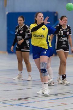 Bild 243 - F HSG Pinnau2 - Rellinger TV2 : Ergebnis: 27:20